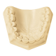 Whip Mix Hard Rock Ivory ISO Type 5 Dental Stone 33 lb / 15 kg (330003)