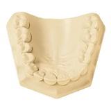 Gypsum & Model Materials