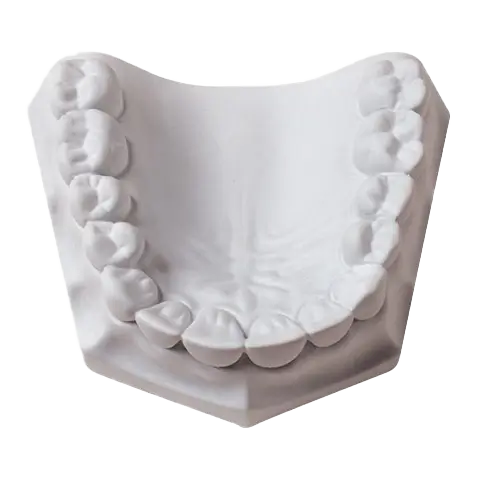 Whip Mix Mounting Plaster 50 lb / 22 kg